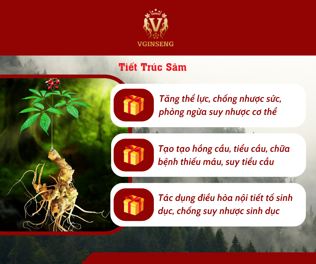 Tiet truc sam.png